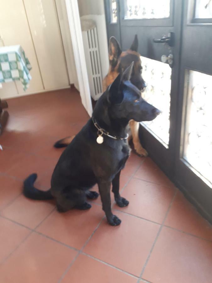 Due Abeti * Florenz